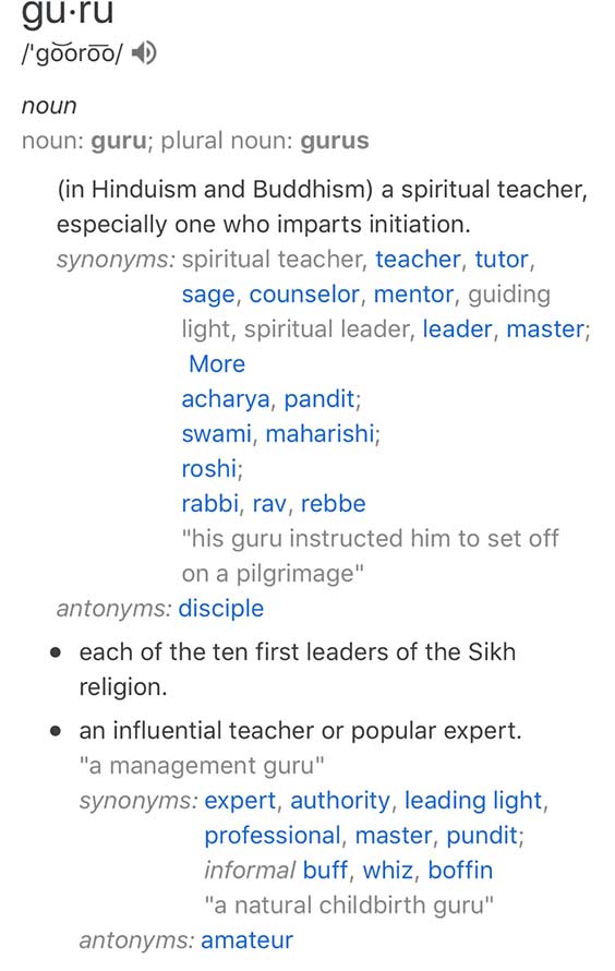 guru Business Guru